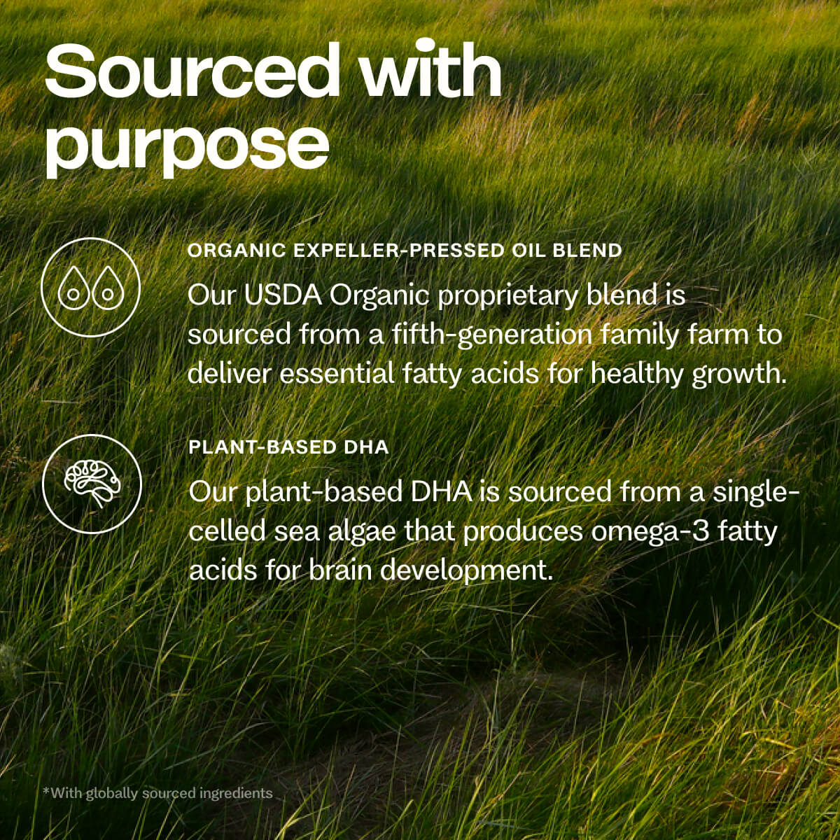 Organic Gentle® Infant Formula - Image 3