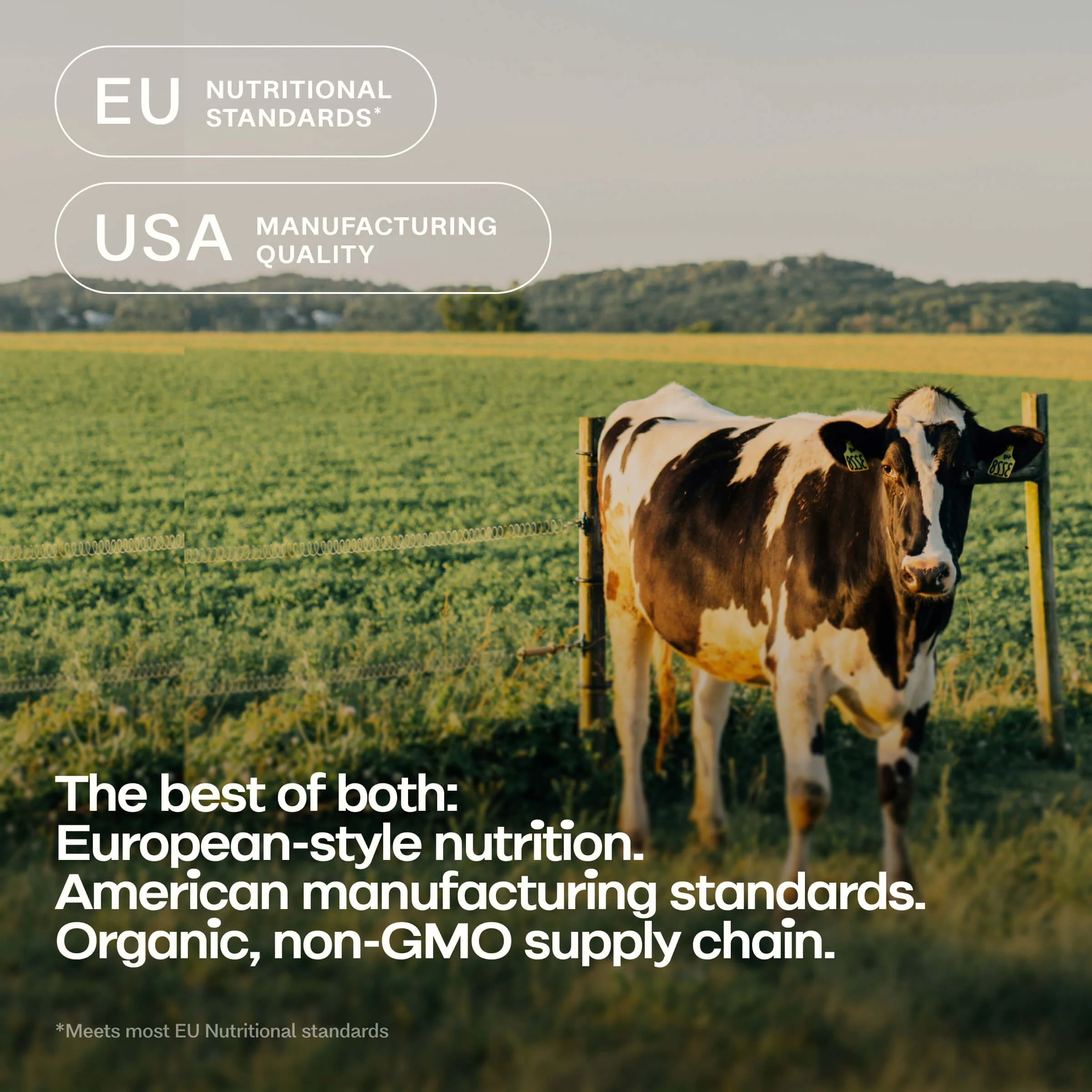 Organic Gentle® Infant Formula - Image 6