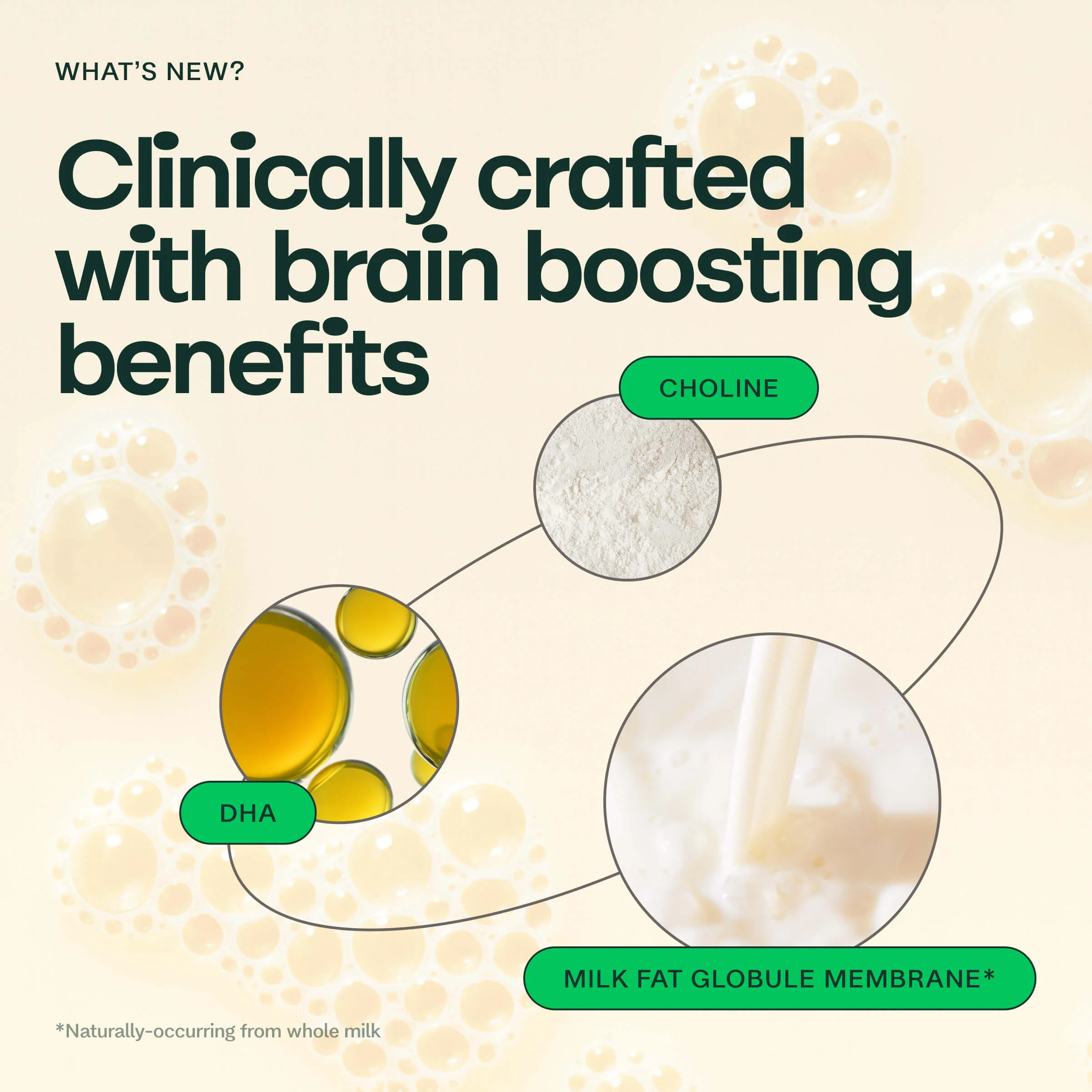 Organic Whole Milk Infant Formula - Image 4